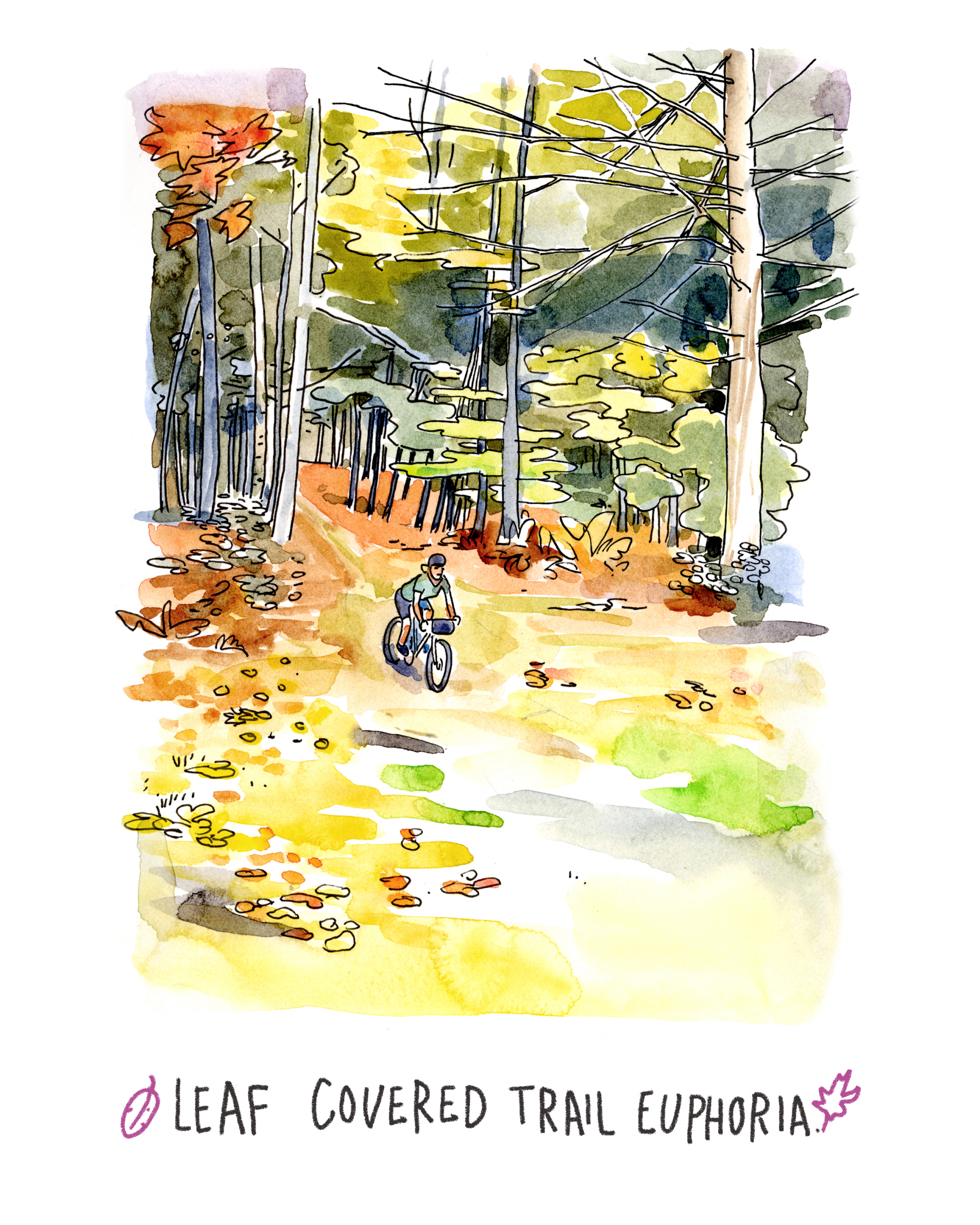 Chris McNally's Illustrated Nutmeg Nor'Easter
