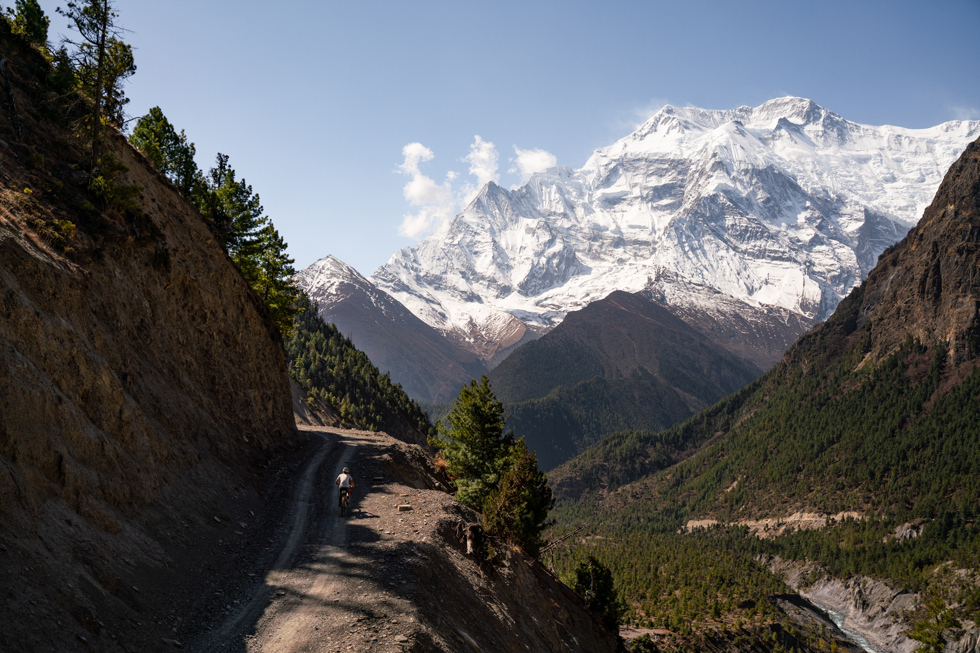 High in the Himalayas: A Journey Through the Valleys of Giants