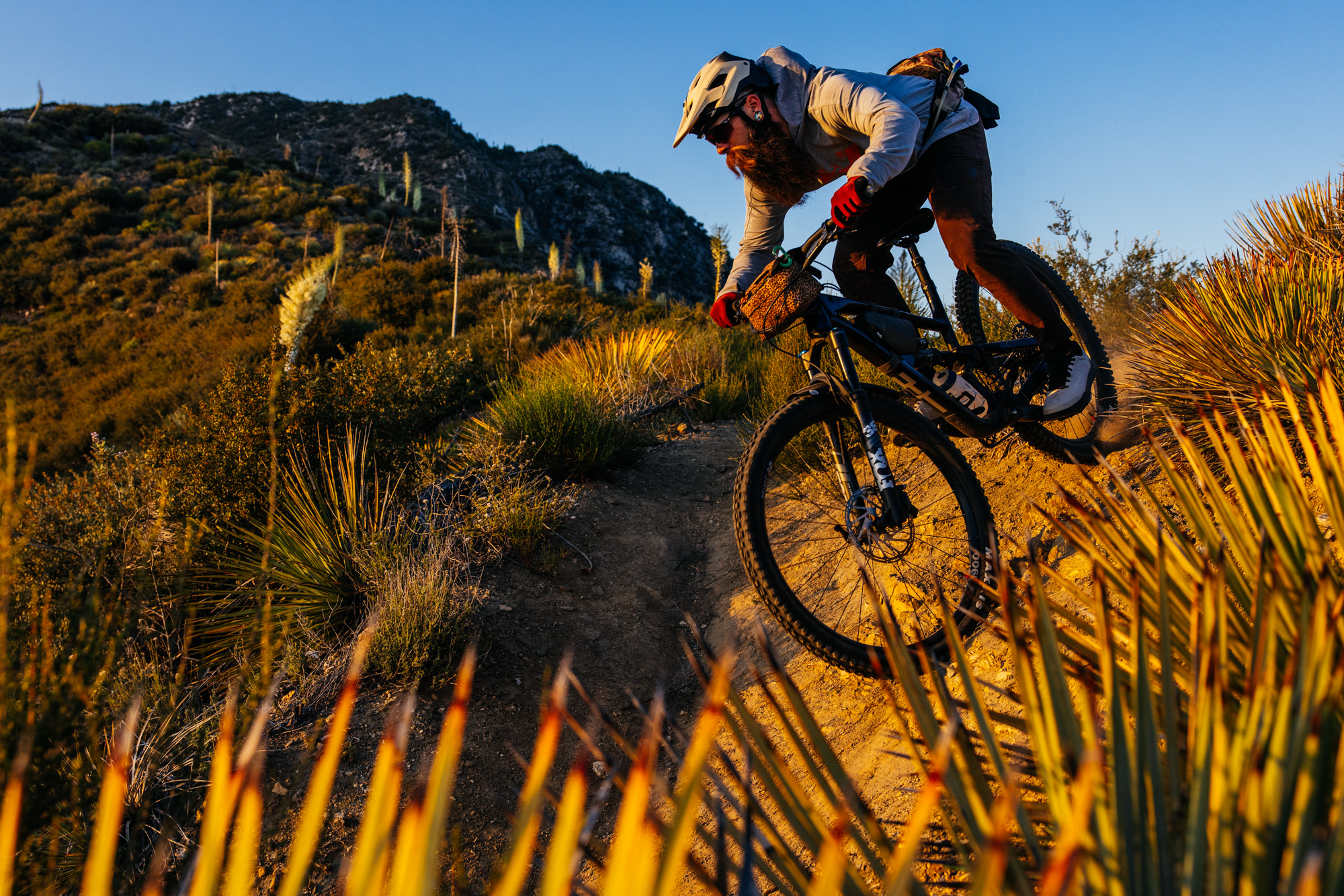 Lowelifes Dream Trail: Condor Peak Trail Guide