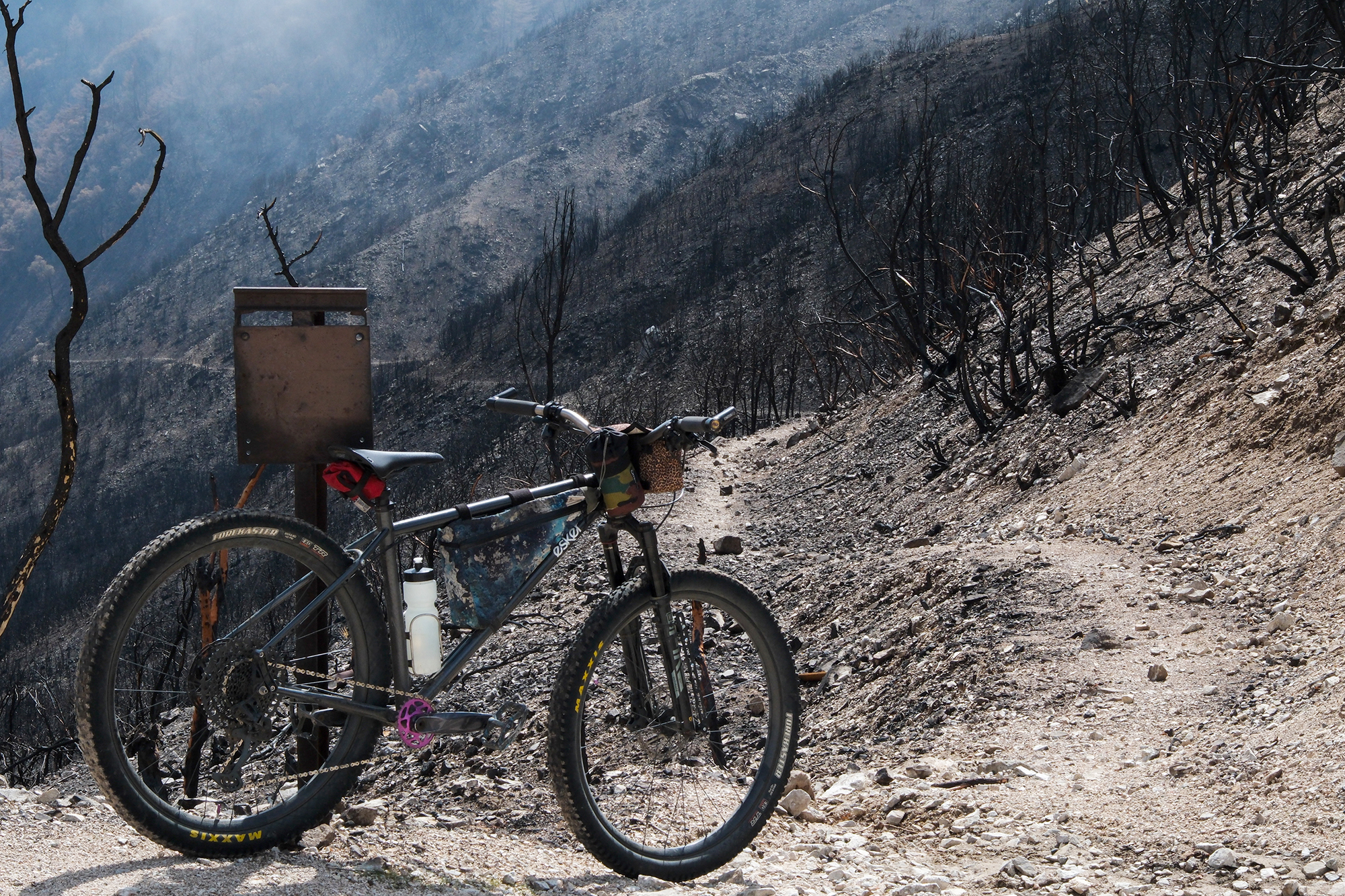 After the Eaton Fire: The Lowelifes and Los Angeles Singletrack