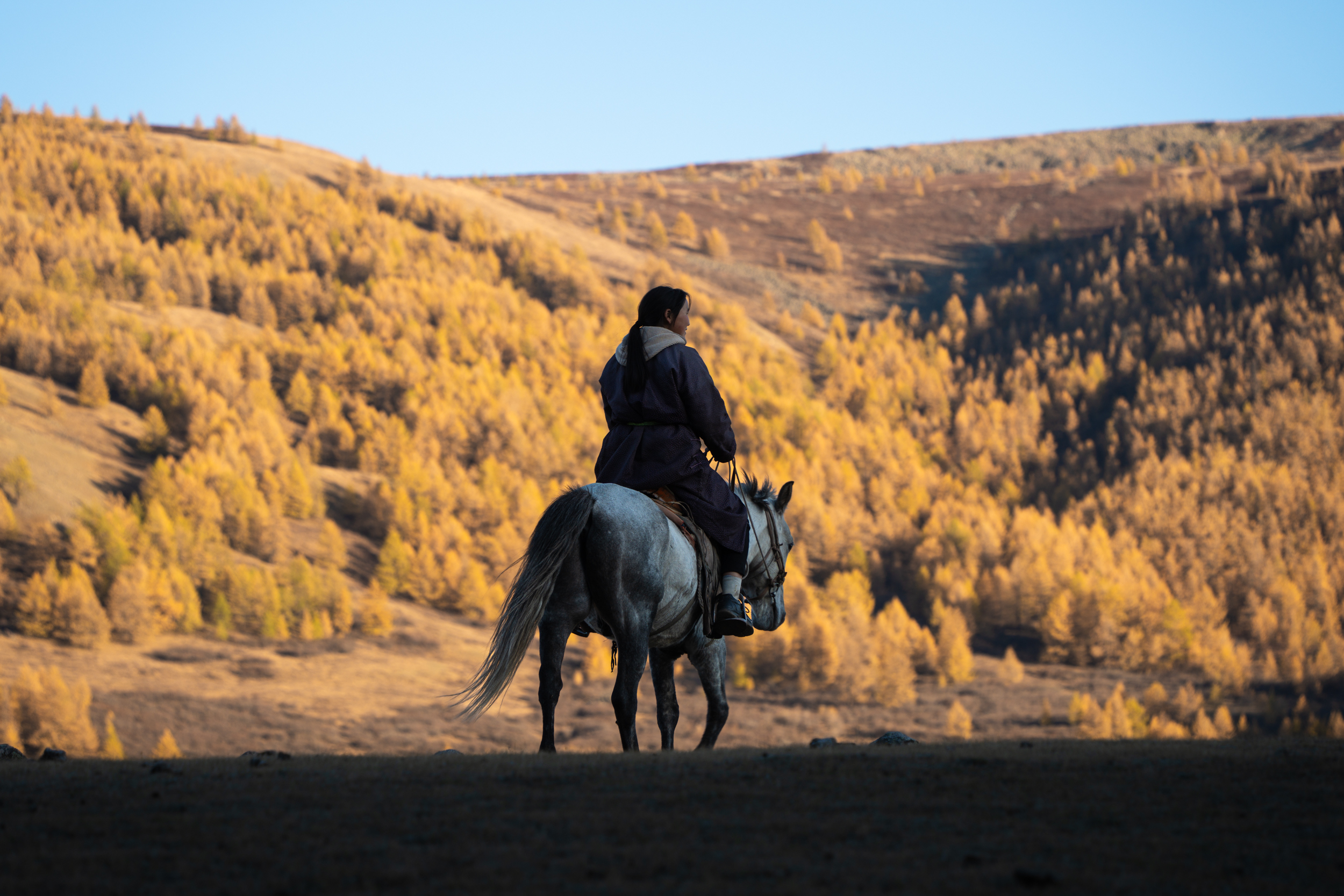 Northbound to Bayanzurkh: Autumn on the Mongolian Steppe