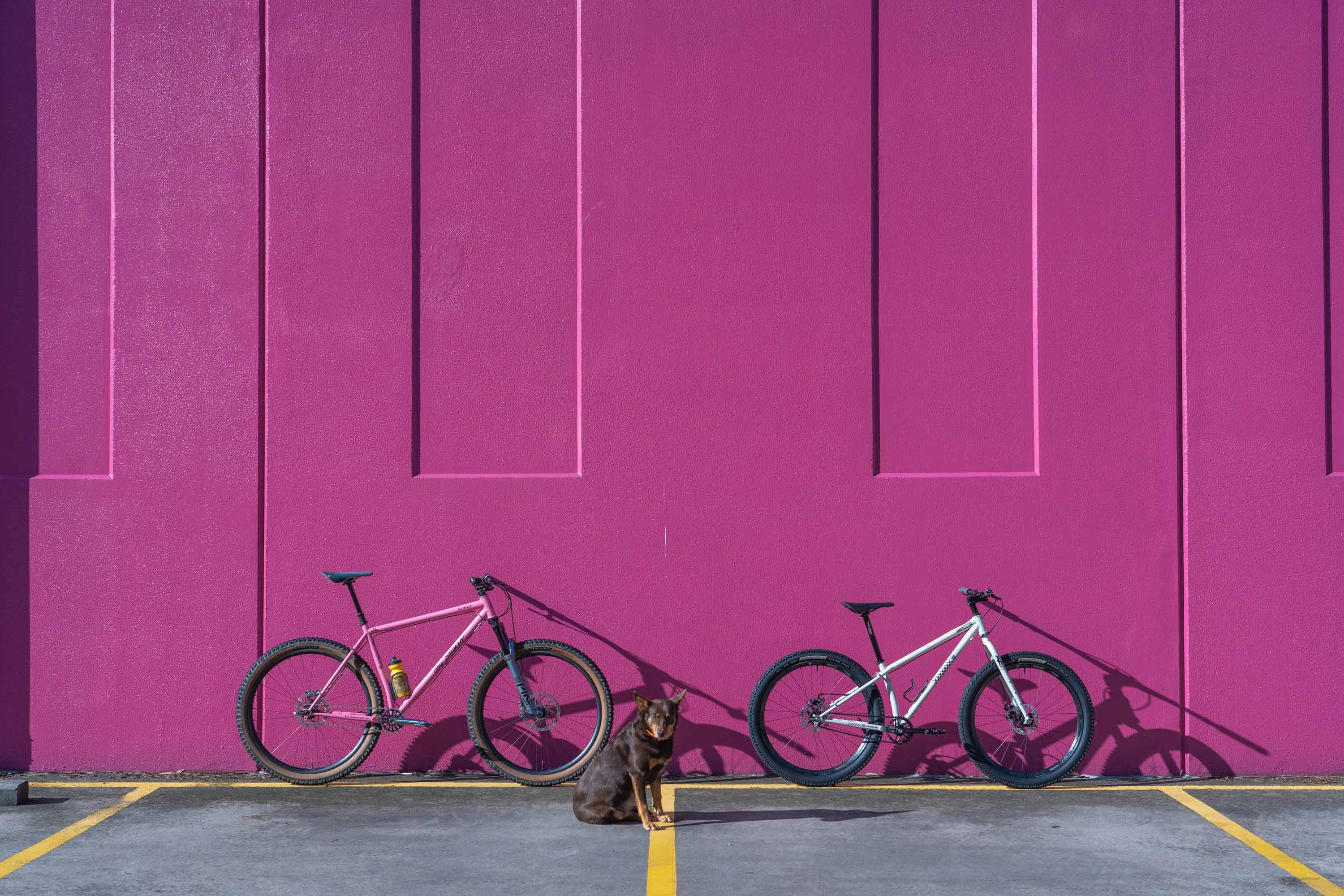 Readers' Rides: FYXO 20th Anniversary Melburn Roobaix Specials Surly Karate Monkey Builds