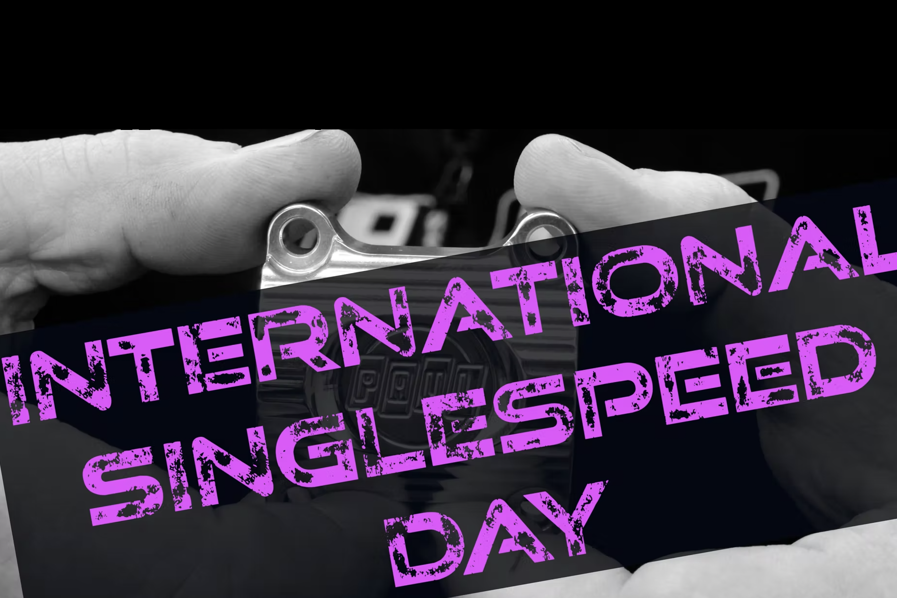 November 2nd Is International Singlespeed Day! ... and You Can Win!
